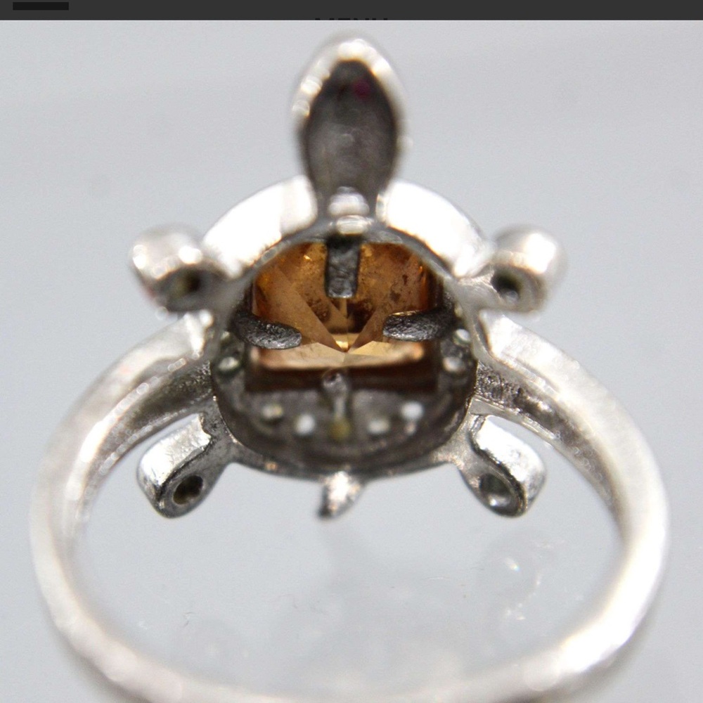 Silver Turtle Ring With Orange Gemstone - image 4
